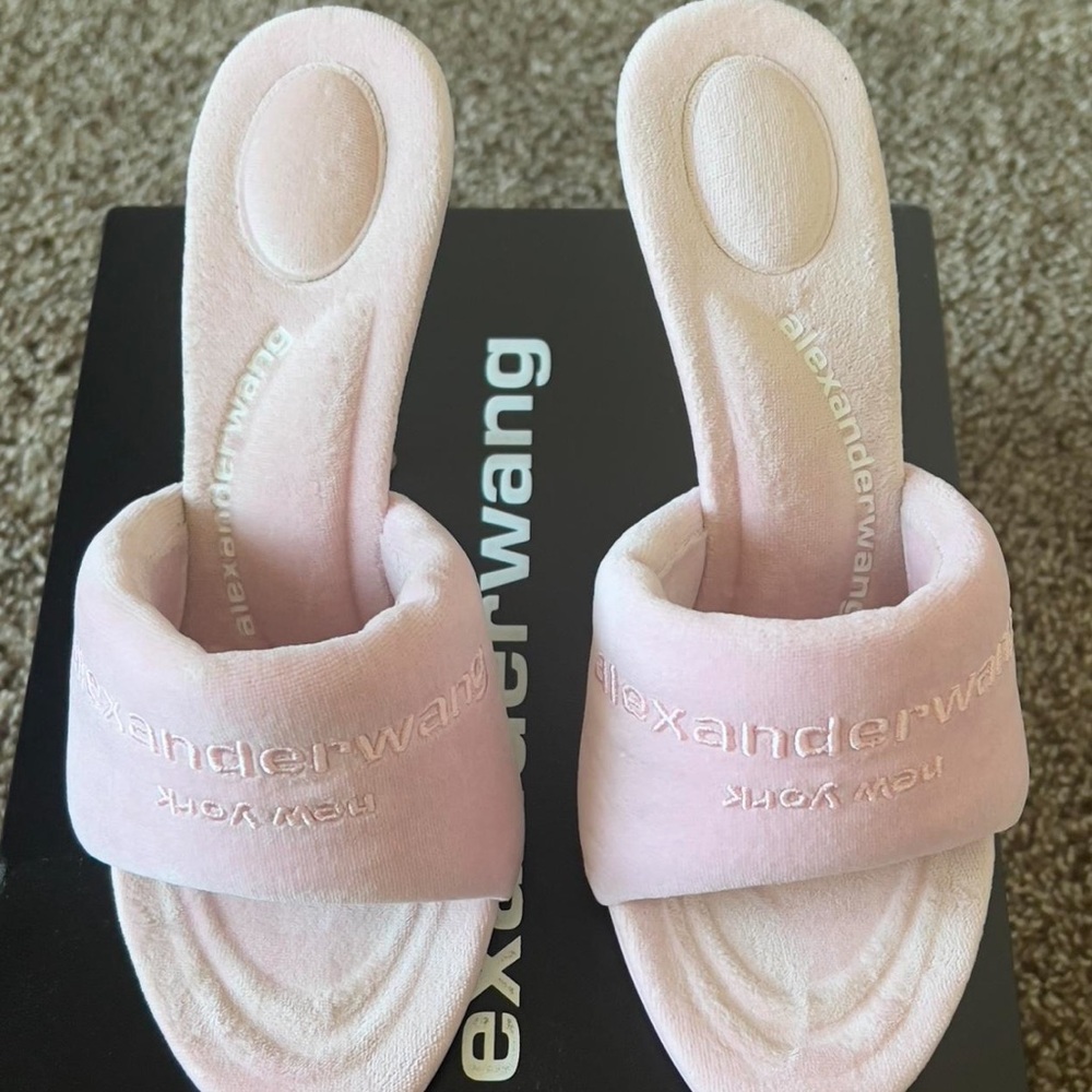 Alexander Wang Sienna heels